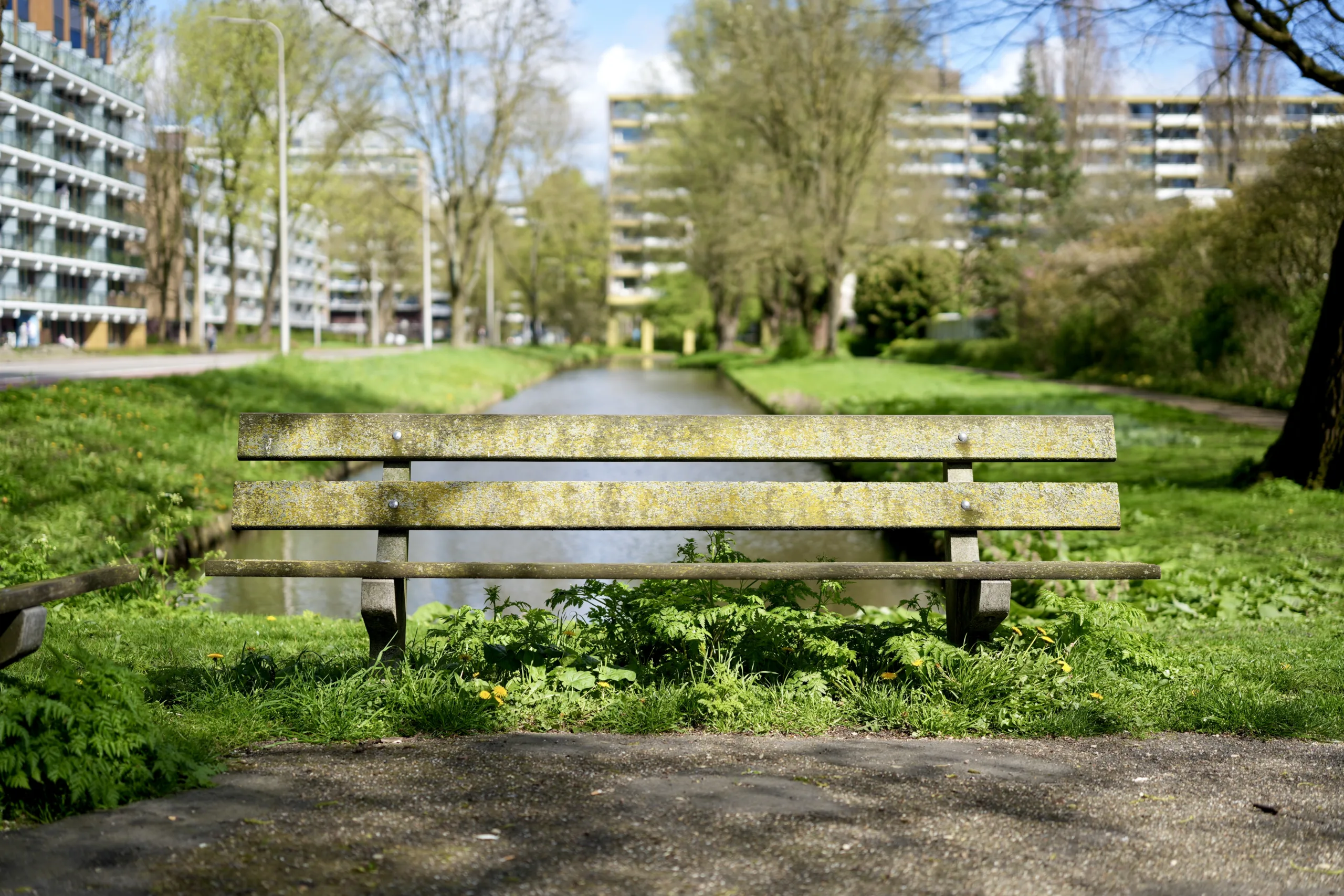 A weathered wooden park bench facing a canal, apartment blocks in the background
