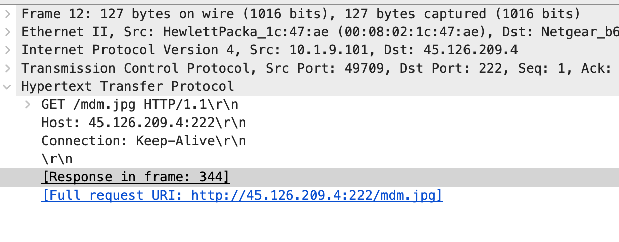 Wireshark showing the frame with the full resource URI