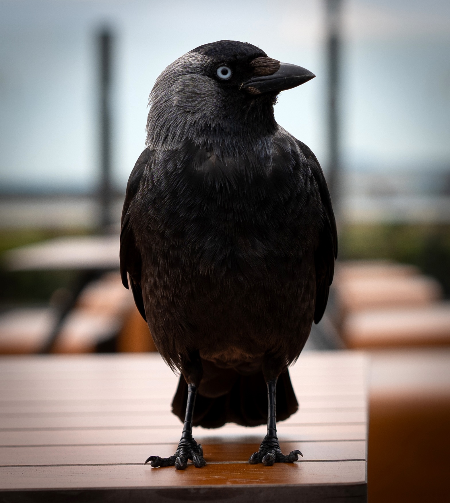 Managing time as Engineering manager