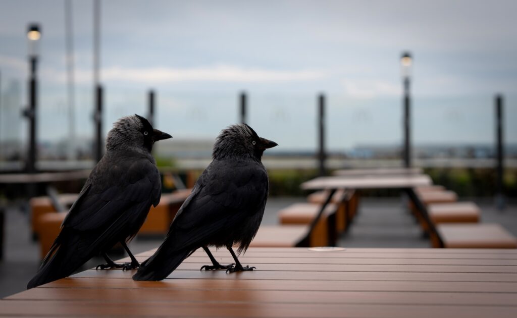 Managing time as Engineering manager