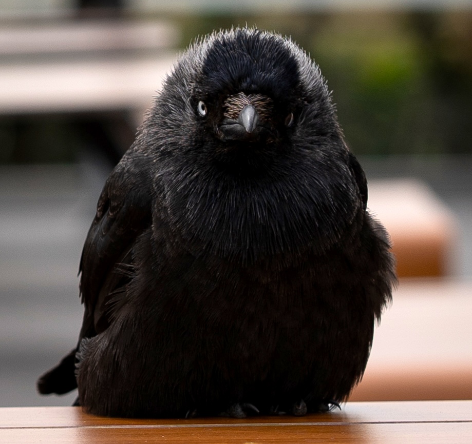 Managing time as Engineering manager