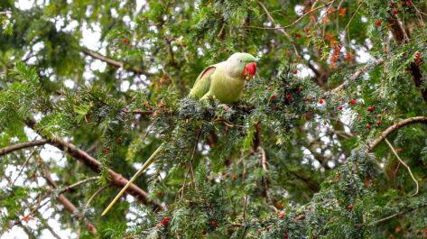 Passkeys – the future of secure authentication