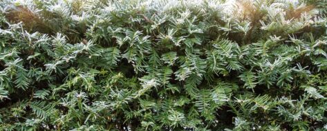 Proxmox firewall layers in simple terms